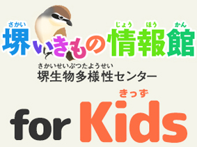 堺いきもの情報館 堺生物多様性センター for KIDS