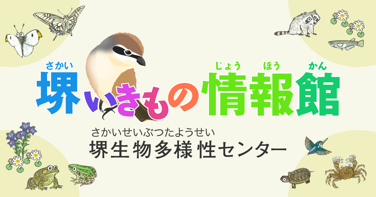 生態造形図鑑 生命の鼓動I 【システムサービス】