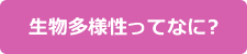 生物多様性ってなに？