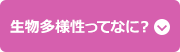 生物多様性ってなに？