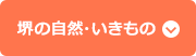 堺の自然・いきもの