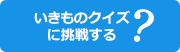 いきものクイズに挑戦する