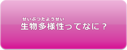 生物多様性ってなに？