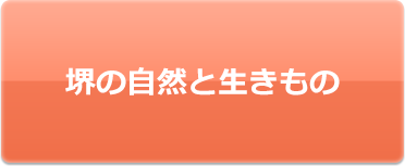 堺の自然と生きもの