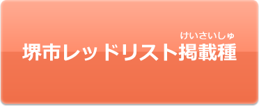 堺市レッドリスト掲載種