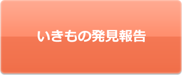 いきもの発見報告