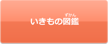 いきもの図鑑