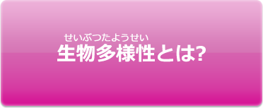 生物多様性とは？