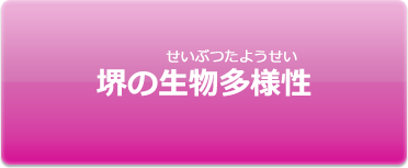 堺の生物多様性