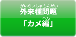 外来種問題「カメ編」