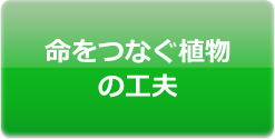 命をつなぐ植物の工夫