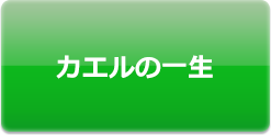 カエルの一生