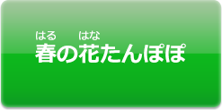 春の花タンポポ