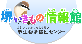 堺いきもの情報館 堺生物多様性