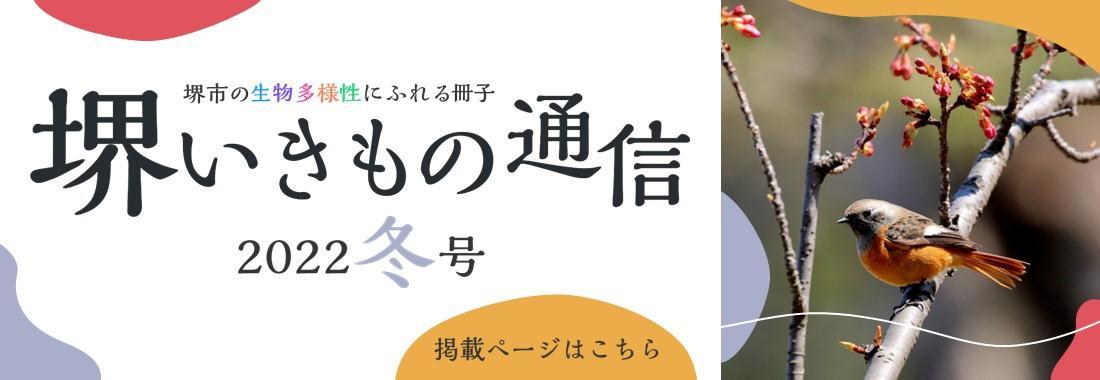 sakaiikimonotsushin10