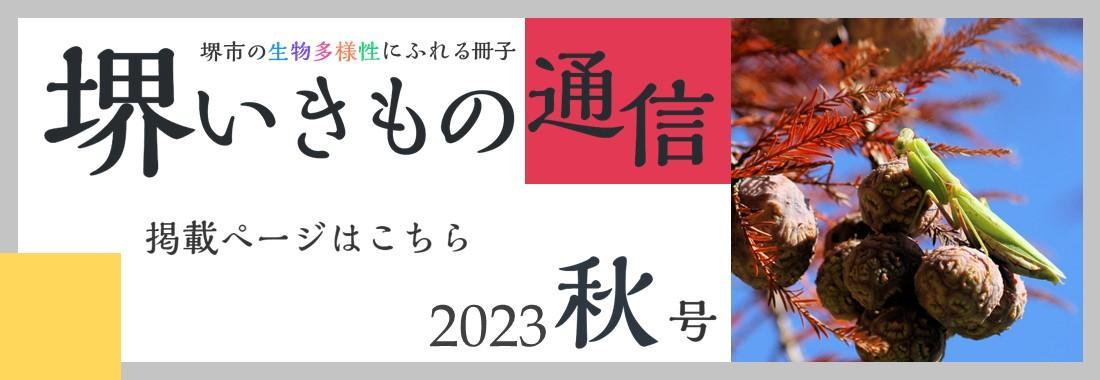 sakaiikimonotsushin6