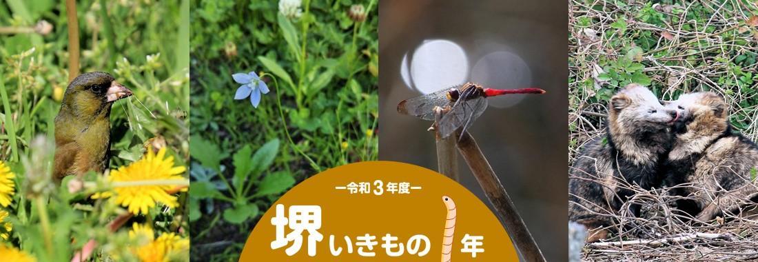 いきもの1年