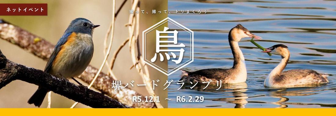 bird2023