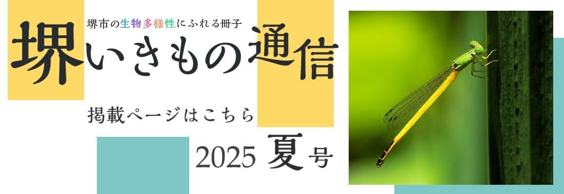 sakaiikimonotsushin6