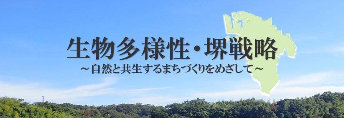 堺戦略