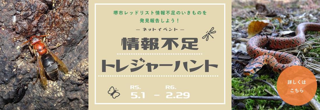 jouhoubusoku