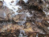 クロマドボタル...