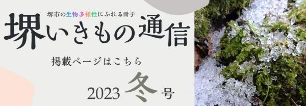 sakaiikimonotsushin6