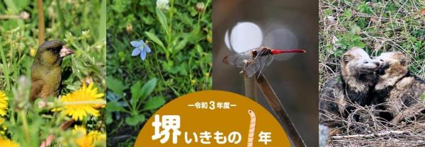 いきもの1年