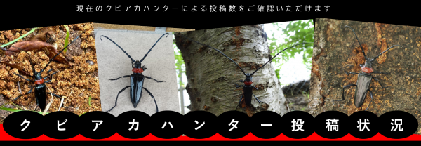 R7kubiakahunter