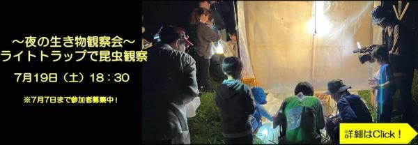 2025light