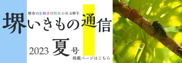 sakaiikimonotsushin6