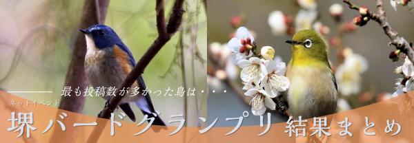 bird2022_result