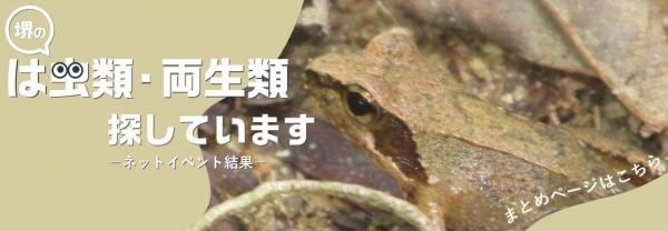 hatyu/ryousei